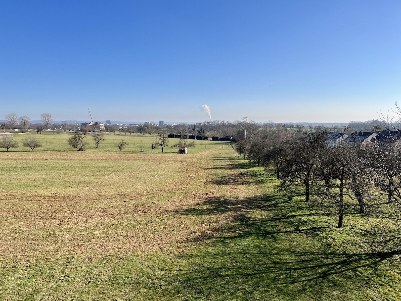 Oberderhalde